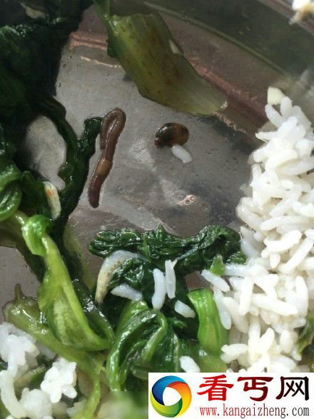大学食堂爆出饭菜中有蚯蚓 网友吐槽这是给你们加菜