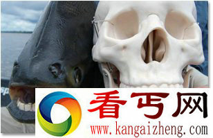 盘点那些嘴像外星人的动物 胆小勿入