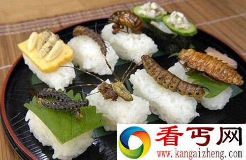 日本现“昆虫料理店” 全新料理盛宴你敢尝试么