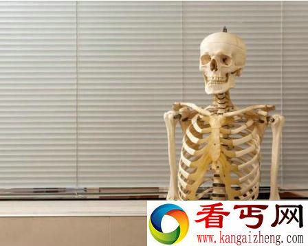 迟了40年的葬礼英国高校骨骼模型由假成真