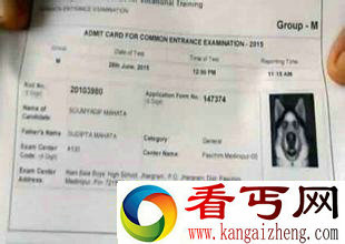 奇葩印度考生准考证的相片变成一只狗