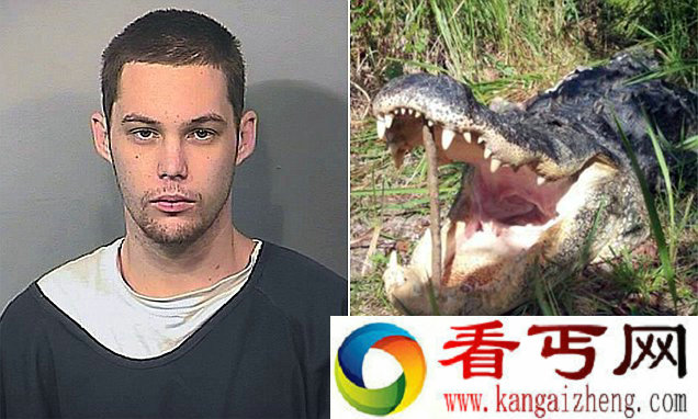 奇葩的死法美国男子为躲警察藏身湖边却被鳄鱼咬死