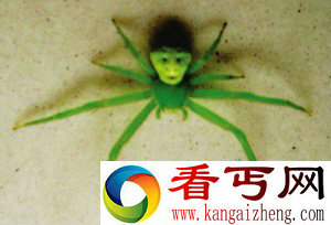 三亚惊现“外星人宠物” 揭露实拍视频
