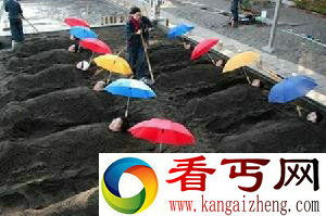 世界奇葩的九大沐浴方式 大叔你用石油不怕人放火么