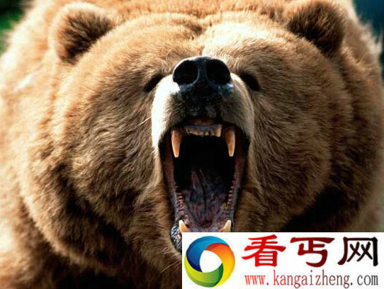 感觉自己不幸运时看看世界上最倒霉的十个人