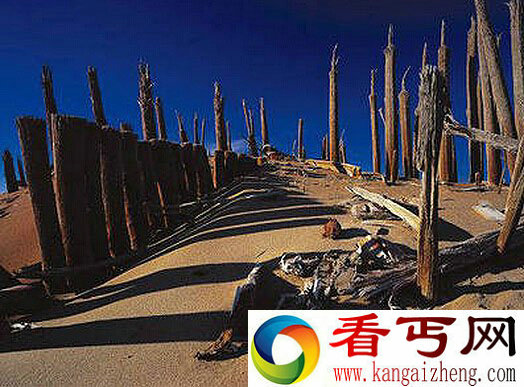 罗布泊沙民是什么 感染奇特病毒类似丧尸