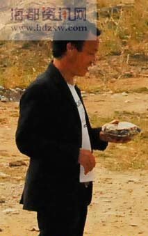 福建晋江百余乌龟爬上岸现奇观引瞩目