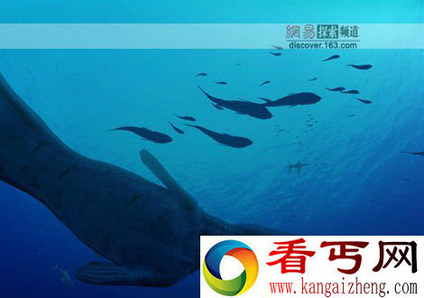 [多图]史前十大恐怖海怪 一睹它们的真面目吧