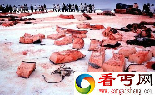 [图文]人类50年后还能吃什么鱼？