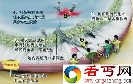 [多图]盘点全球兽性大发的动物们如何袭击人类