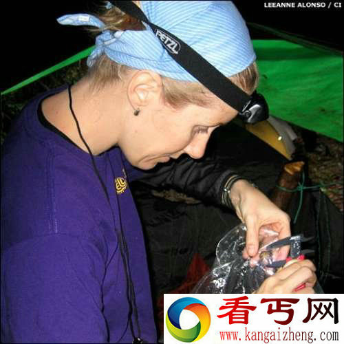 [多图]南美洲大陆发现新物种