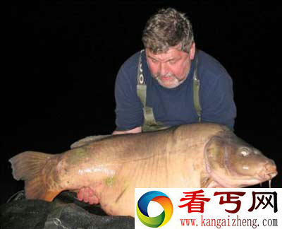 [图文]英国钓鱼者钓到罕见巨型鲤鱼 重280磅
