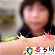 [图文]日本妇女在花园中发现奇特彩色蝈蝈