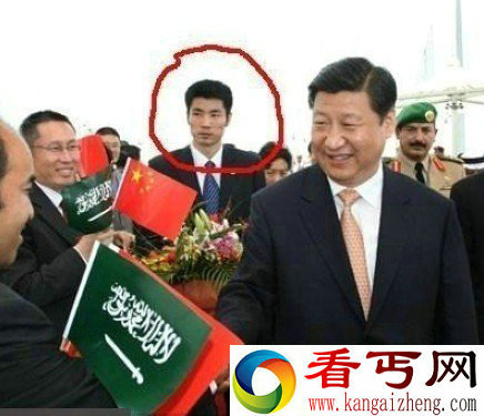 奇闻中南海保镖一拳抡飞一片