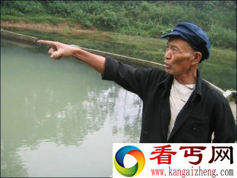 怪事重庆万蛇齐聚龙潮湖
