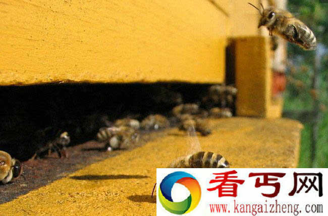 [图文]无法解释的五大自然现象
