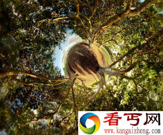 [图文]超现实主义艺术 滚动万花筒