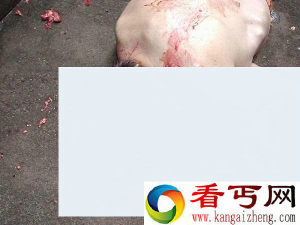 從15F一躍而下自殺,粉身碎骨 胆小的不要看了