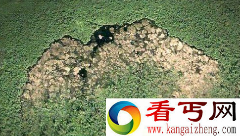 河狸为什么要筑坝 河狸分布在哪里生活