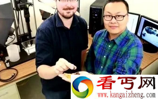 琥珀中发现恐龙化石 恐龙琥珀化石图片曝光