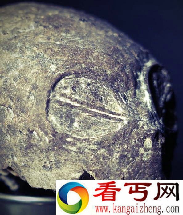 秘鲁发现神秘三指手掌 疑似外星人
