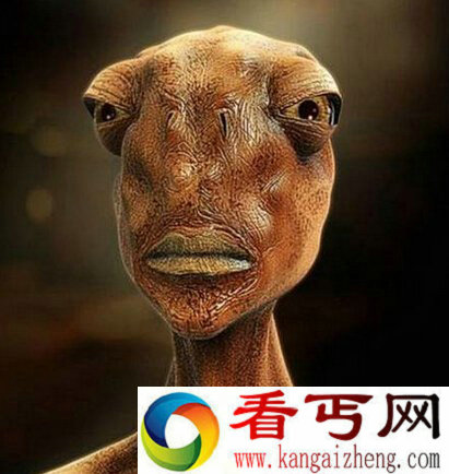 男子意外电死外星人 其背后竟藏惊人秘密