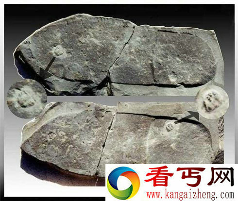 史前文明是否存在?21个证明史前文明存在的证据