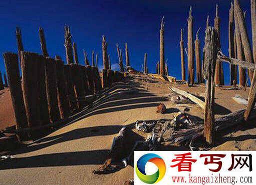 罗布泊双鱼玉佩事件真相|双鱼玉佩恐怖的图片|五张照片