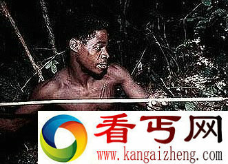 俾格米人在现代的分布群