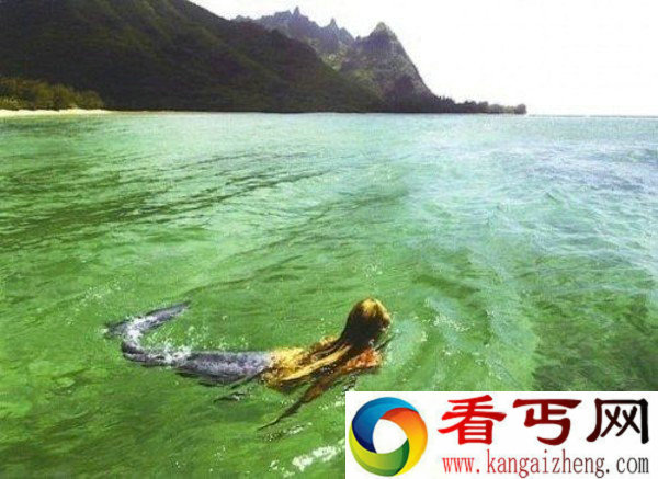 叙述鲛人的云荒异界