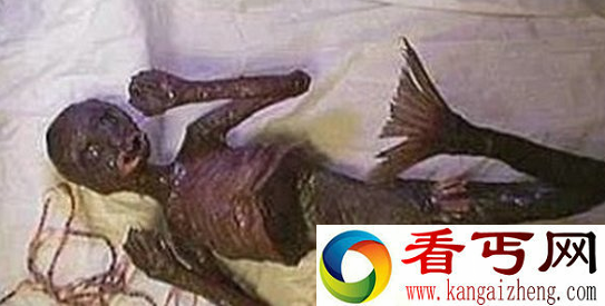 黑鳞鲛人的传说 鲛人的产物是什么?