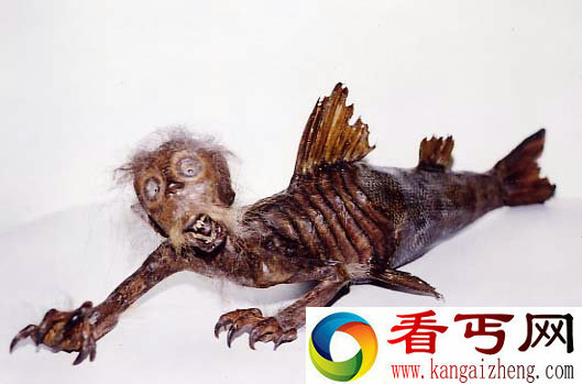 黑鳞鲛人是否真实存在?黑鳞鲛人的样子