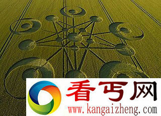 英国惊现麦田怪圈 神秘图形或为外星人杰作