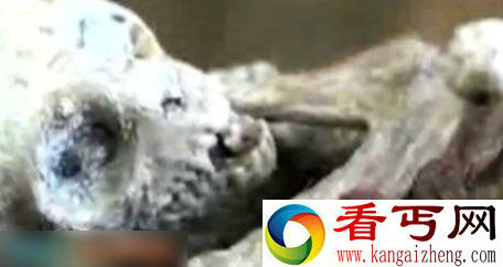 惊骇图集解秘麦田怪圈捕获外星人幼崽之谜