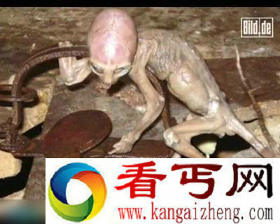 惊骇图集解秘麦田怪圈捕获外星人幼崽之谜