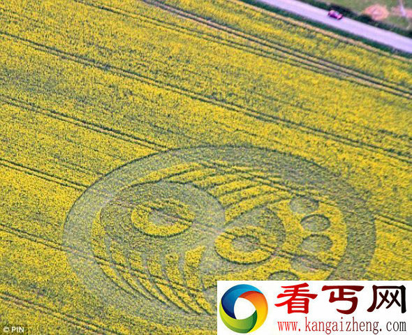 麦田怪圈出现在古代“灵线”代表着什么神秘含义?