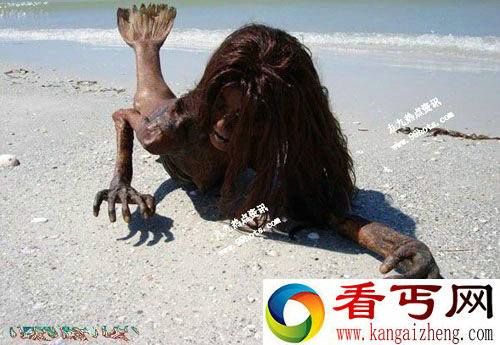 网传海滩惊现逼真恐怖美人鱼干尸