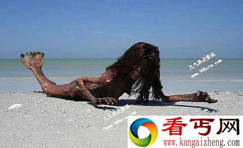 网传海滩惊现逼真恐怖美人鱼干尸