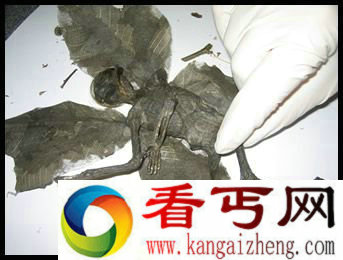 世界上第一个货真价实的精灵
