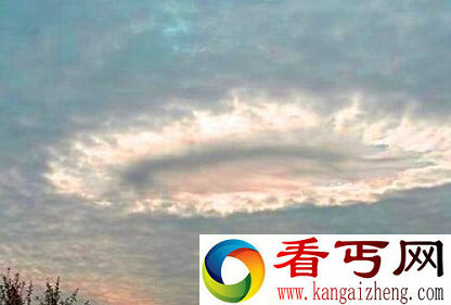 大气中存在“凝胶状”生物 靠捕猎鸟类为食