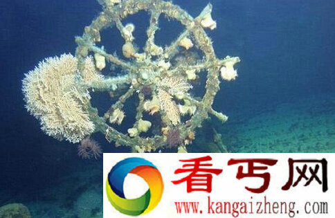 潜水机器人夏威夷海底发现完整幽灵船 可追溯至1923年