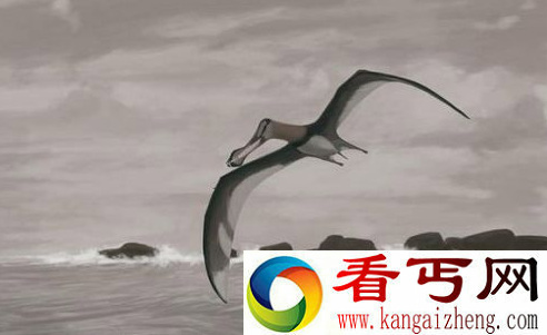 盘点世界流传的神秘恐怖吃人生物 据说会盗掘人类的墓葬【图】