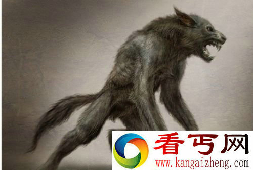 巴西巴伊亚州小镇疑似拍到狼人 全身黝黑高1.5米影像高清图