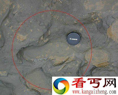 重大发现:英国80万年前早期人类足印 曾在欧洲北部活动