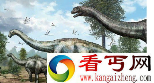 南地区发现一种基干真蜥脚类恐龙