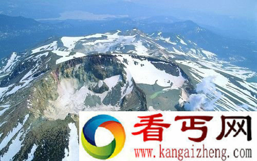 冰河时期生物生存方式 依靠火山爆发带来的热量