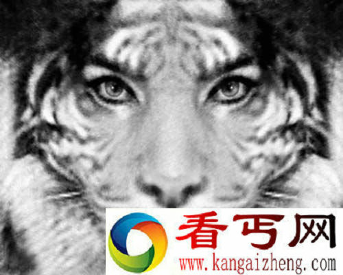 人兽/杂交或是人类丧失统治地球的前奏？