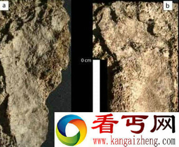 北美洲发现10550年前最古人老类脚印