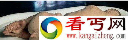 世上有人与猪杂交的怪物吗  人畜轮回转世事件