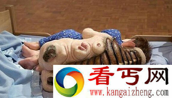 世上有人与猪杂交的怪物吗  人畜轮回转世事件